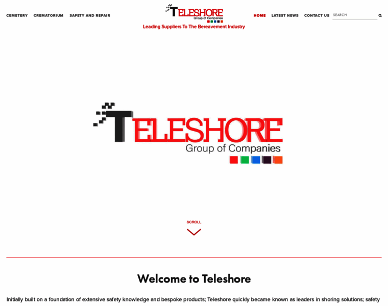 Teleshoregroup.com thumbnail