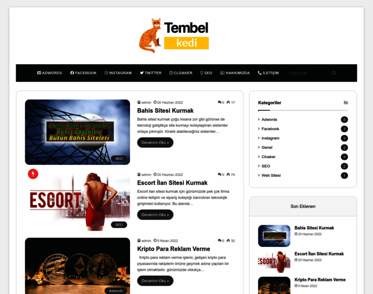 Tembelkedi.com thumbnail