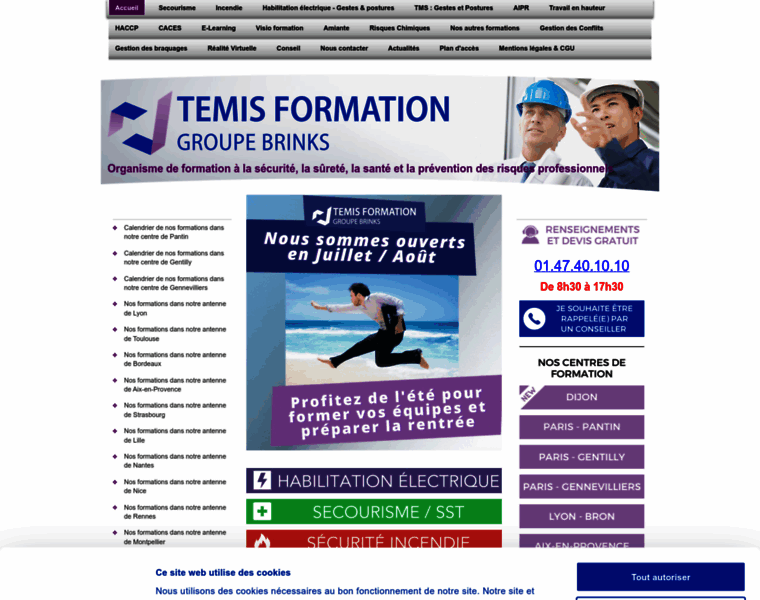 Temis-formation.fr thumbnail