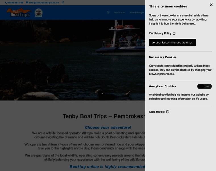 Tenbyboattrips.co.uk thumbnail