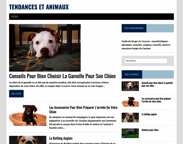 Tendances-et-animaux.fr thumbnail