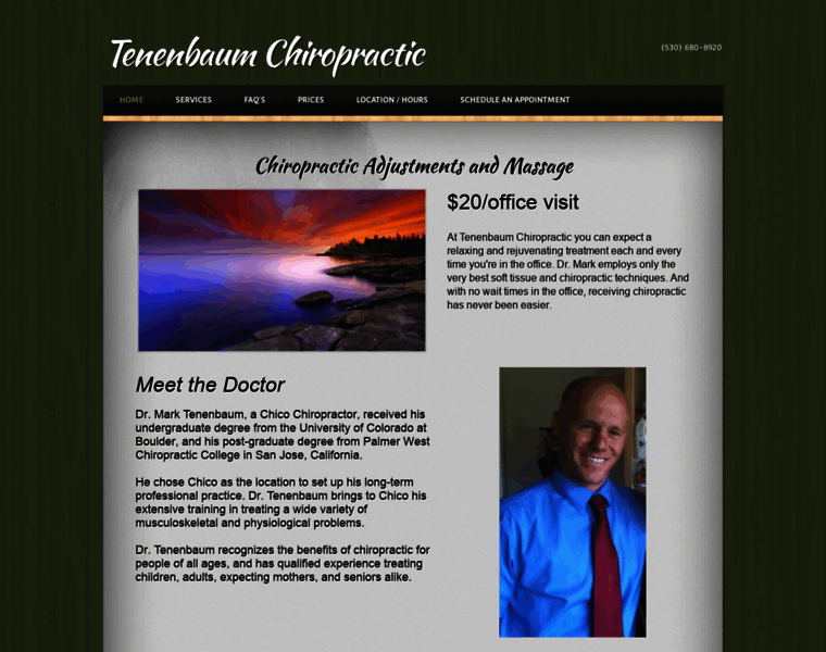 Tenenbaumchiropractic.com thumbnail
