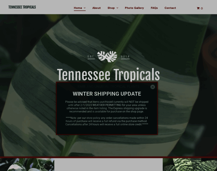 Tennesseetropicals.com thumbnail