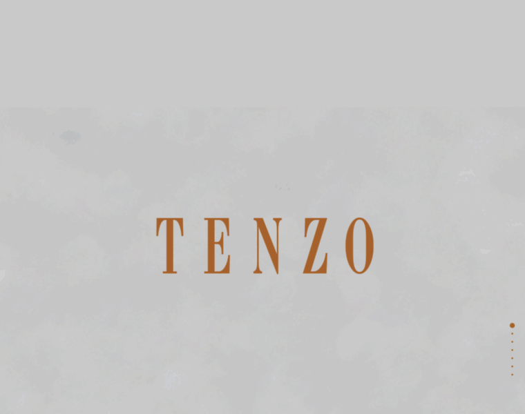 Tenzo-jewellery.com thumbnail