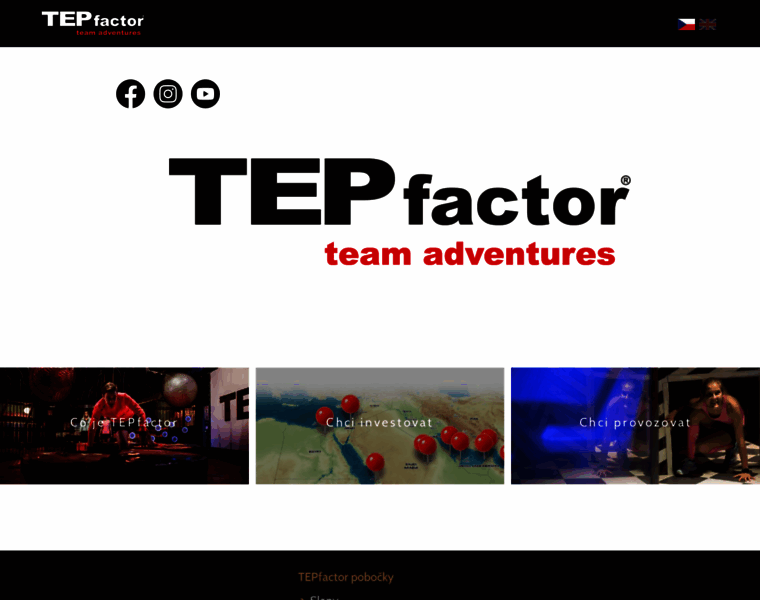 Tepfactor.com thumbnail