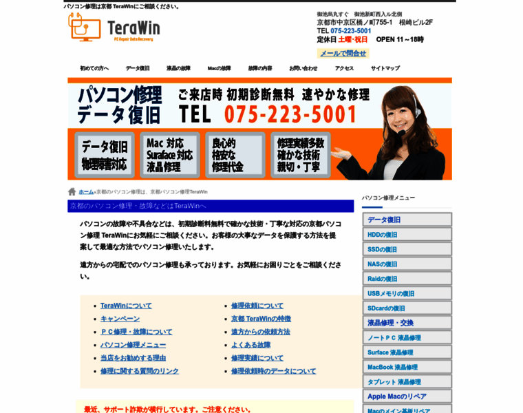 Terawin.co.jp thumbnail