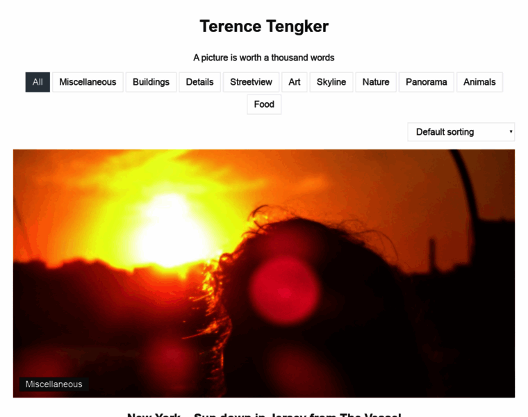 Terencetengker.nl thumbnail