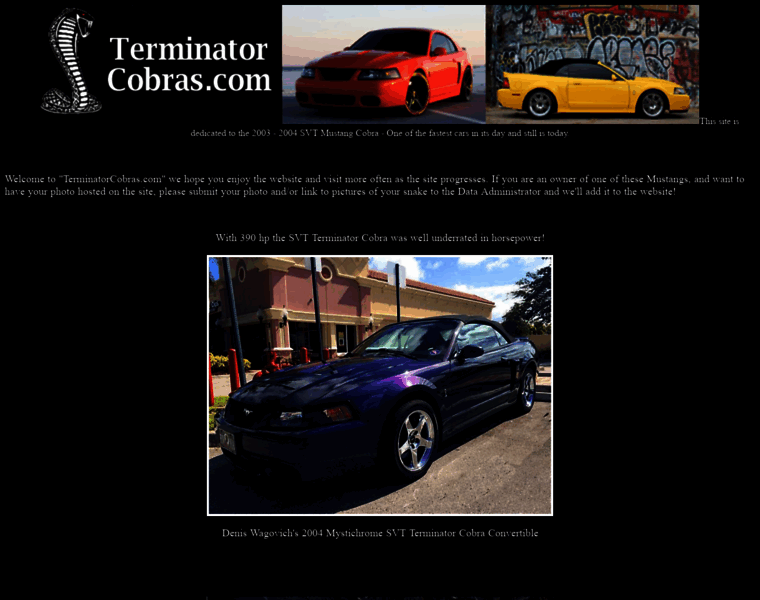 Terminatorcobras.com thumbnail Terminatorcobras.com thumbnail