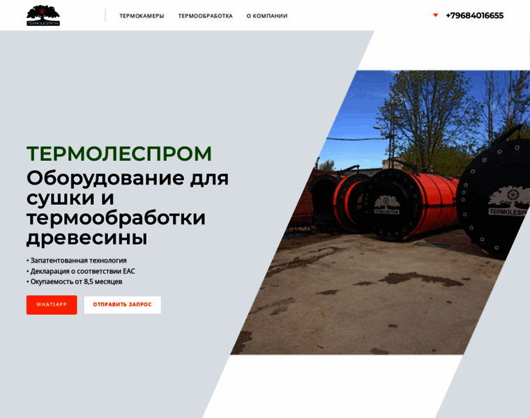 Termolesprom.ru thumbnail