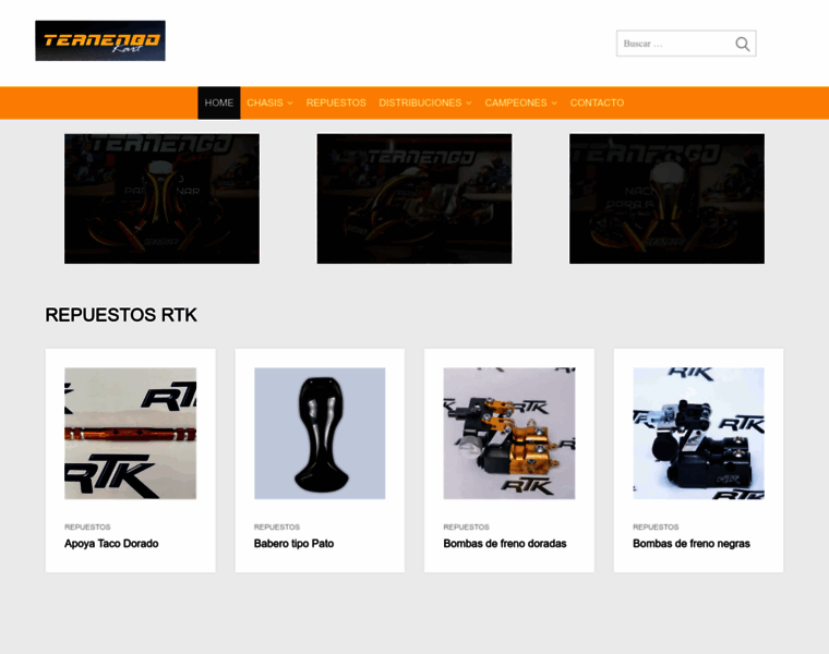 Ternengokart.com thumbnail