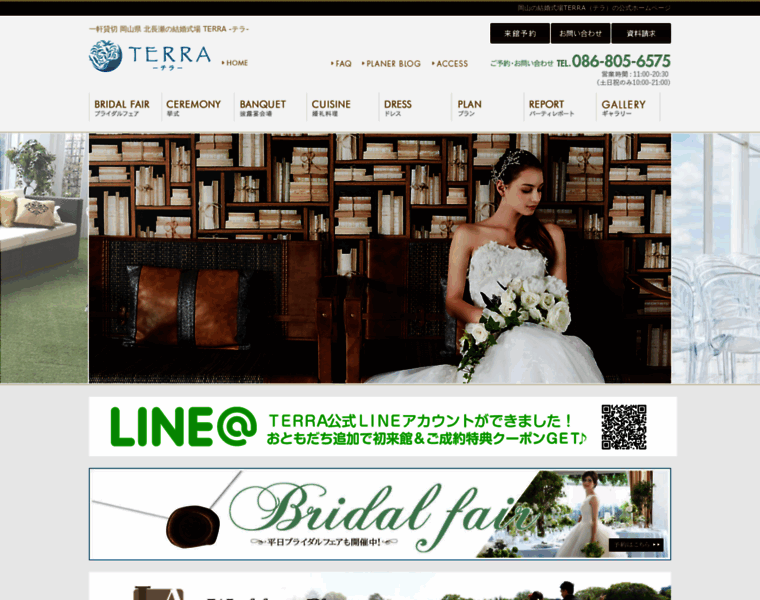 Terra-wedding.com thumbnail