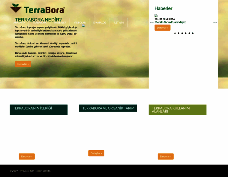 Terrabora.com thumbnail