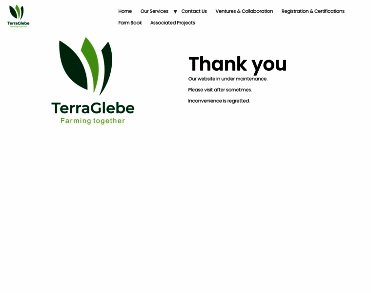 Terraglebe.com thumbnail