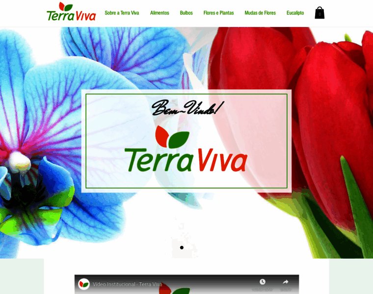 Terraviva.agr.br thumbnail