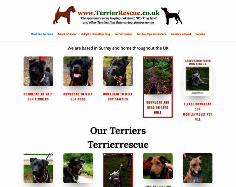 Terrierrescue.co.uk thumbnail
