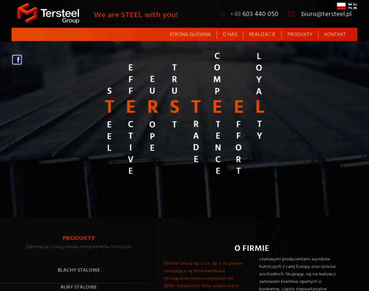 Tersteel.pl thumbnail