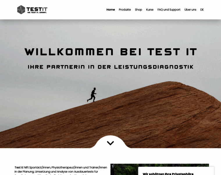 Test-it.ch thumbnail