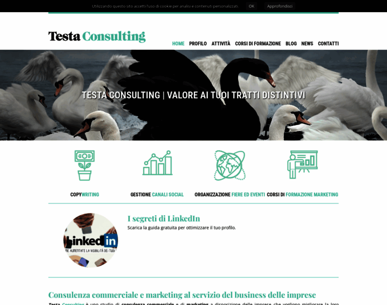 Testa-consulting.com thumbnail