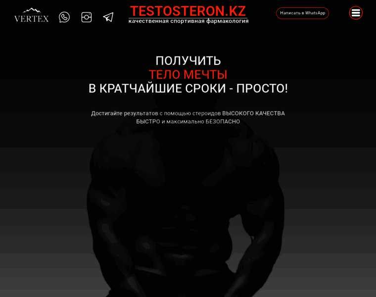 Testosteron.kz thumbnail