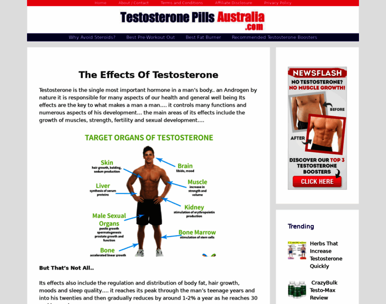 Testosteronepillsaustralia.com thumbnail
