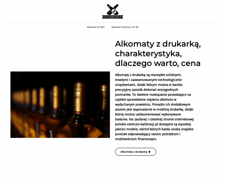 Testujkawasaki.pl thumbnail