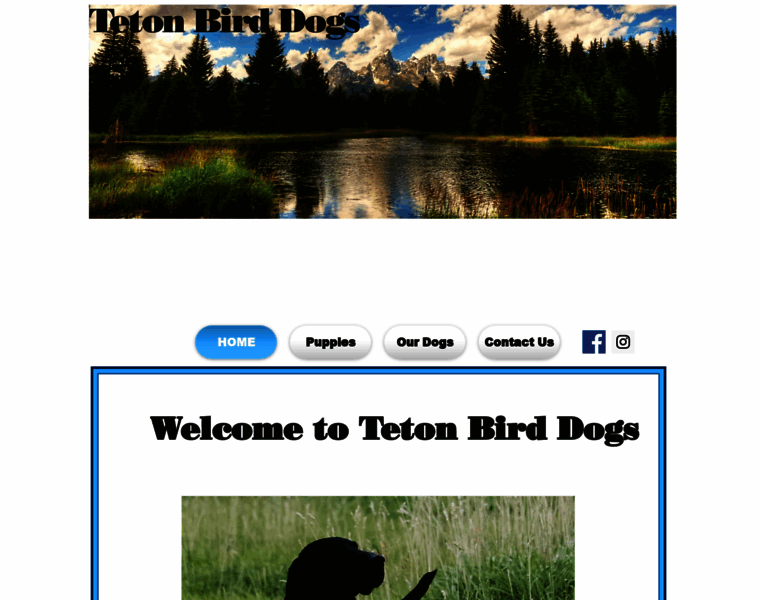 Tetonbirddogs.com thumbnail