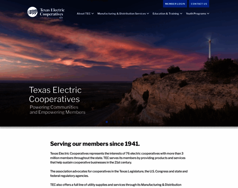 Texas-ec.org thumbnail