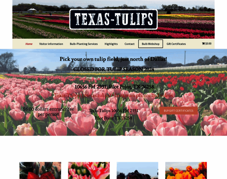Texas-tulips.com thumbnail