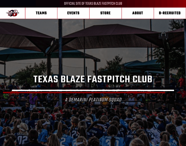 Texasblaze.org thumbnail