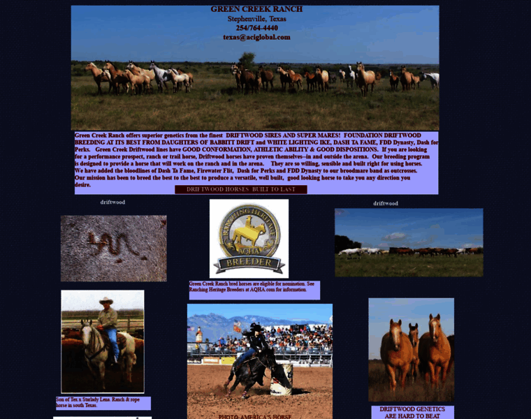 Texasbreddriftwoodhorses.com thumbnail