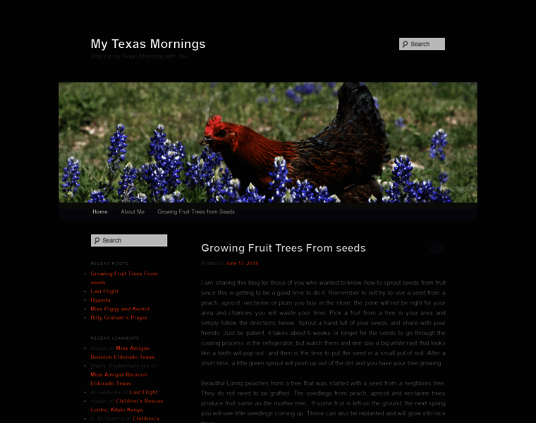 Texasmornings.com thumbnail