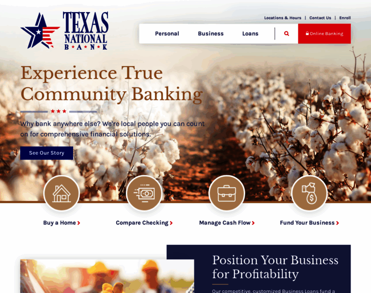 Texasnational.bank thumbnail