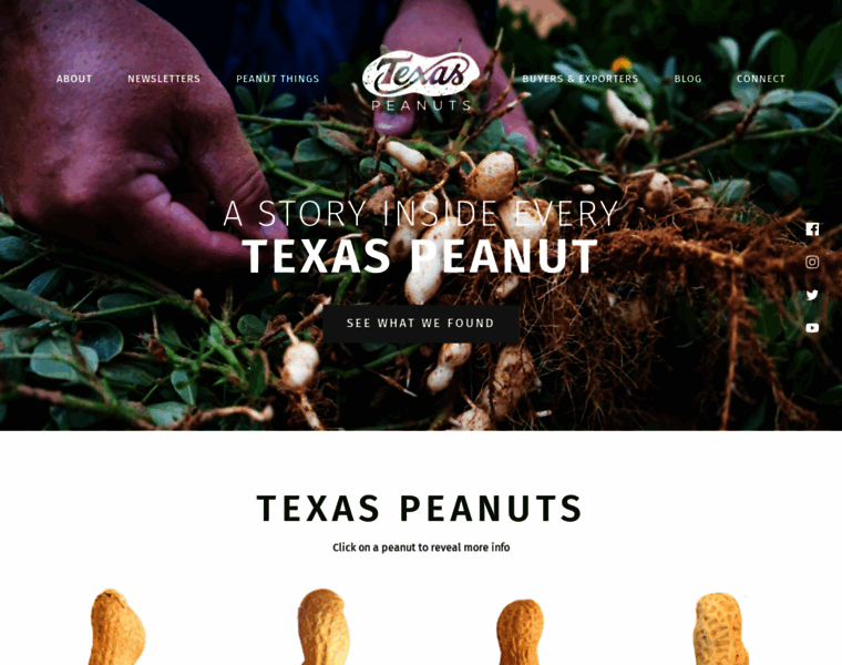 Texaspeanutboard.com thumbnail