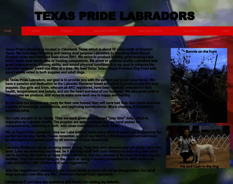 Texaspridelabradors.com thumbnail