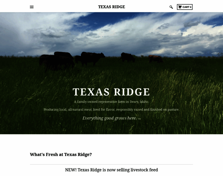 Texasridge.com thumbnail