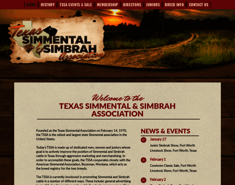 Texassimmentalsimbrah.com thumbnail