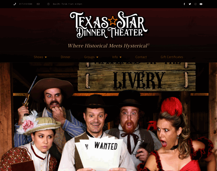 Texasstardinnertheater.com thumbnail