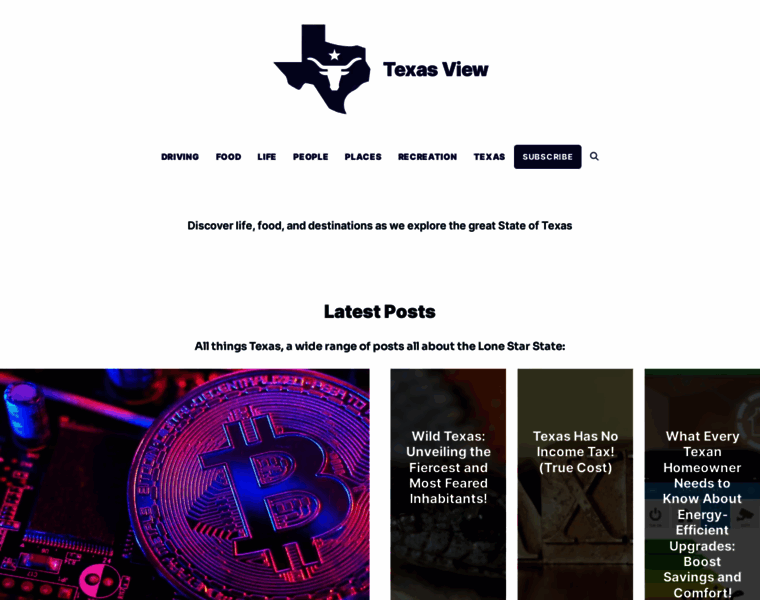 Texasview.org thumbnail