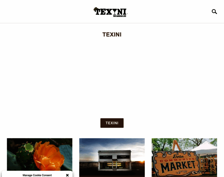 Texini.com thumbnail