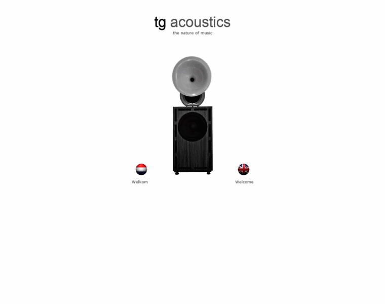 Tg-acoustics.com thumbnail