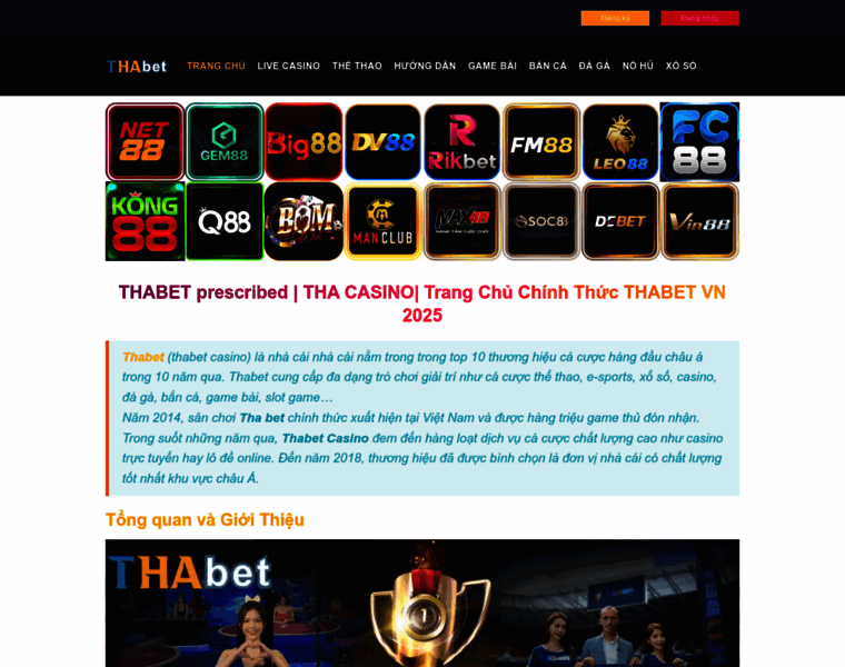 Thabet-vn.com thumbnail