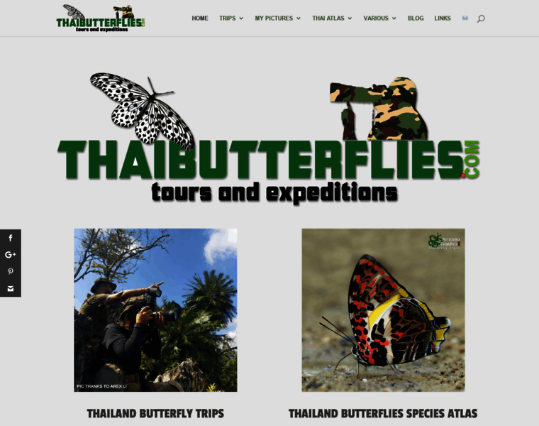 Thaibutterflies.com thumbnail