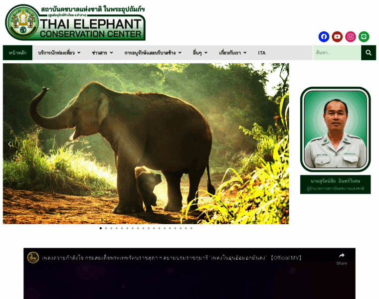 Thailandelephant.org thumbnail