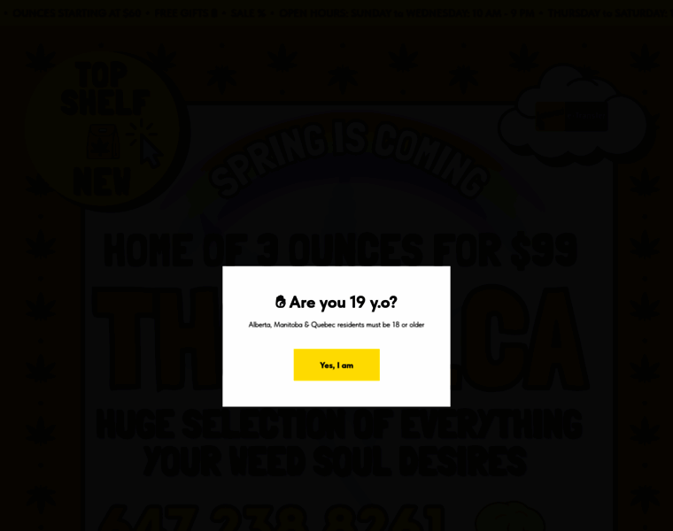 Thcity.ca thumbnail