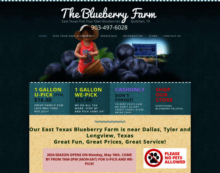 The-blueberry-farm.com thumbnail