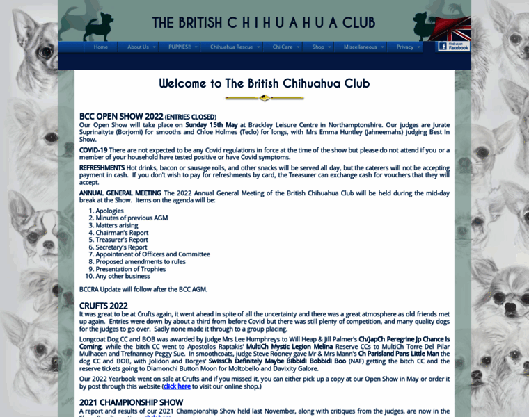 The-british-chihuahua-club.org.uk thumbnail
