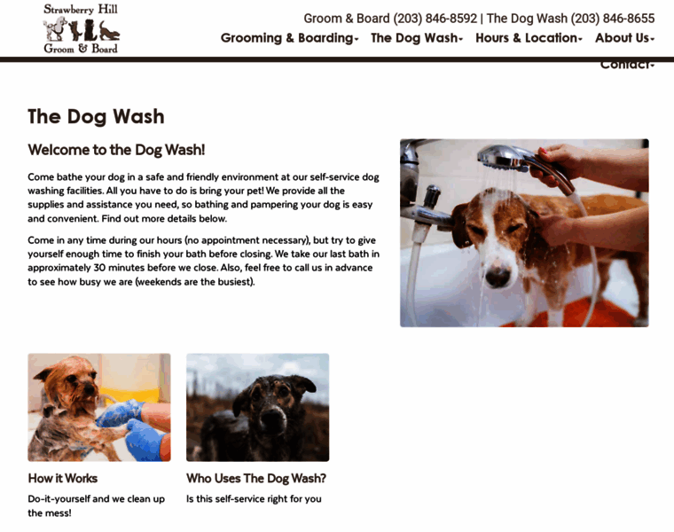 The-dog-wash.com thumbnail