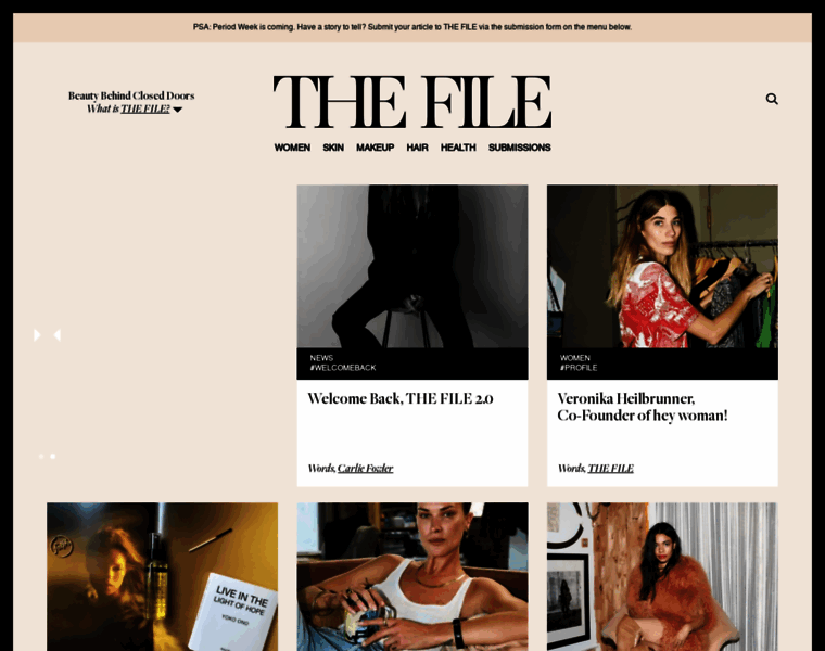 The-file.com thumbnail