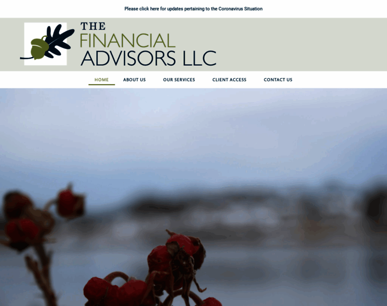 The-financial-advisors.com thumbnail