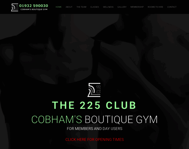 The225club.com thumbnail